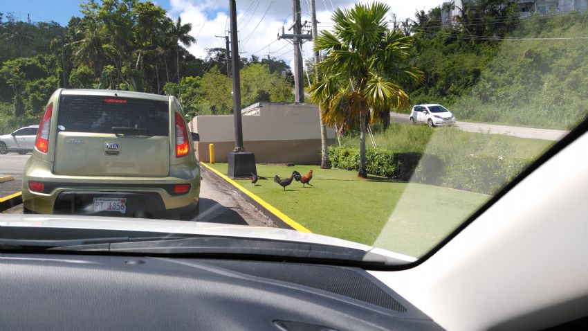 ŬϽø  ũ⸦ Ǽ ֽϴ